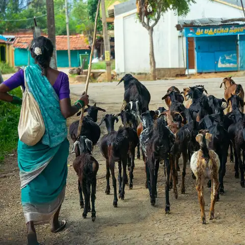 Village Walk - Visit a 100 year old village home and get a closer look at traditional living.